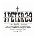 1 Peter 2:9
